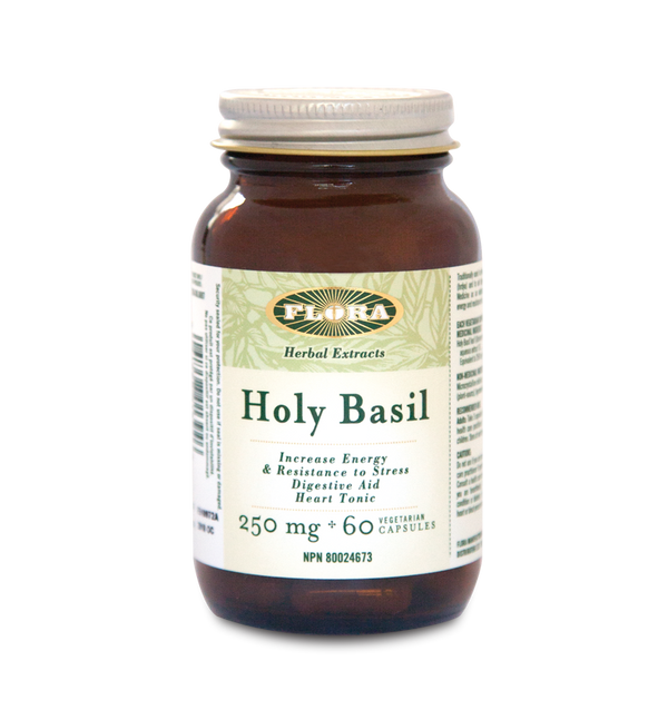 Holy Basil | Basilic sacré