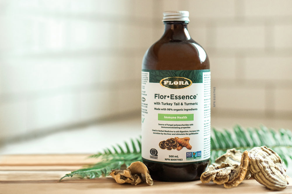 Building Cellular Immunity with Flor·Essence® with Turkey Tail and Turmeric