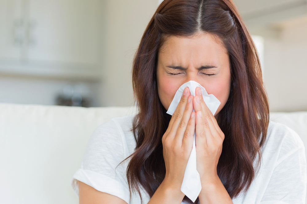 Four Ways to Stay Healthy This Flu Season