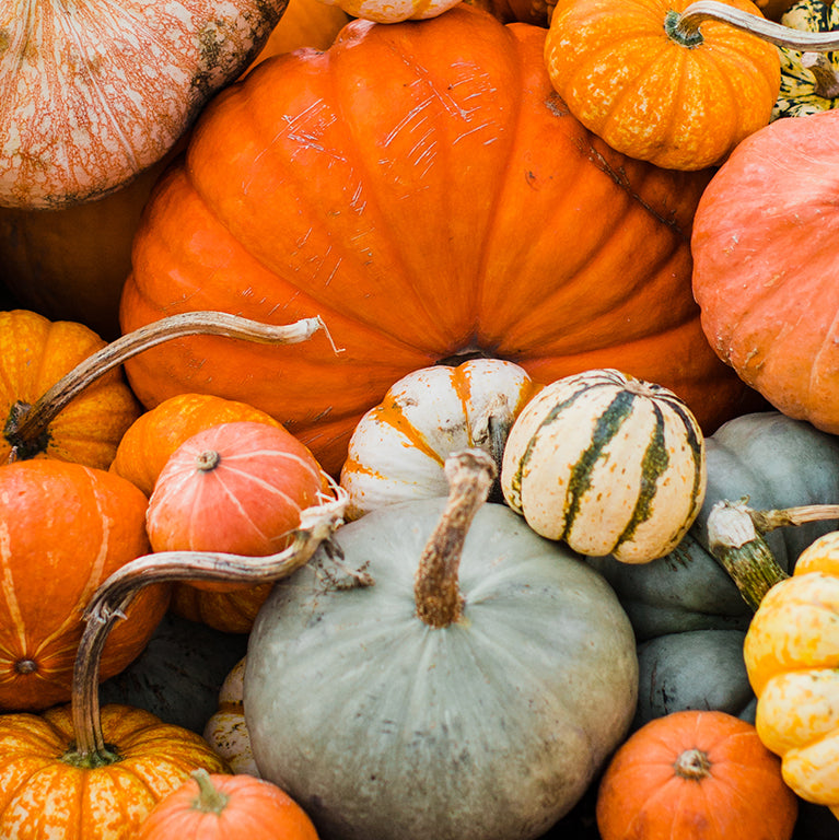 Pumpkin