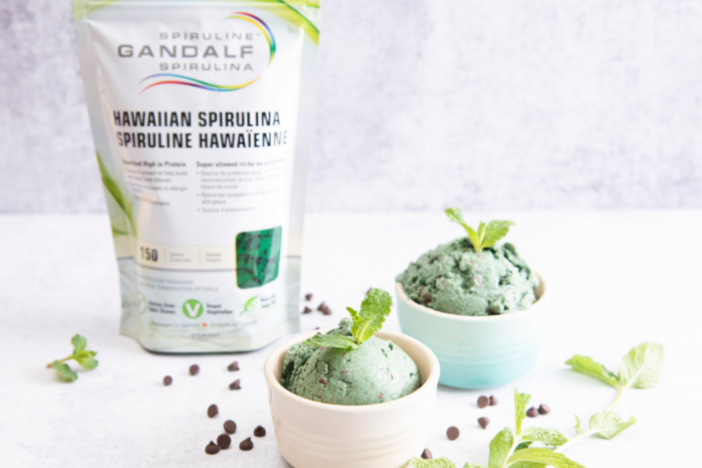 Vegan Chocolate Chip Mint Ice Cream
