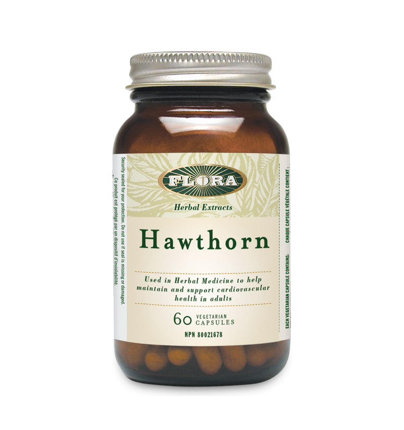 Hawthorn | Aubépine