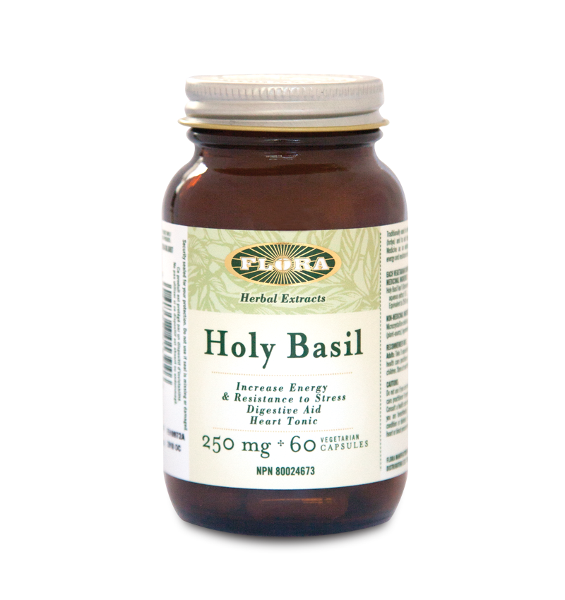 Holy Basil | Basilic sacré